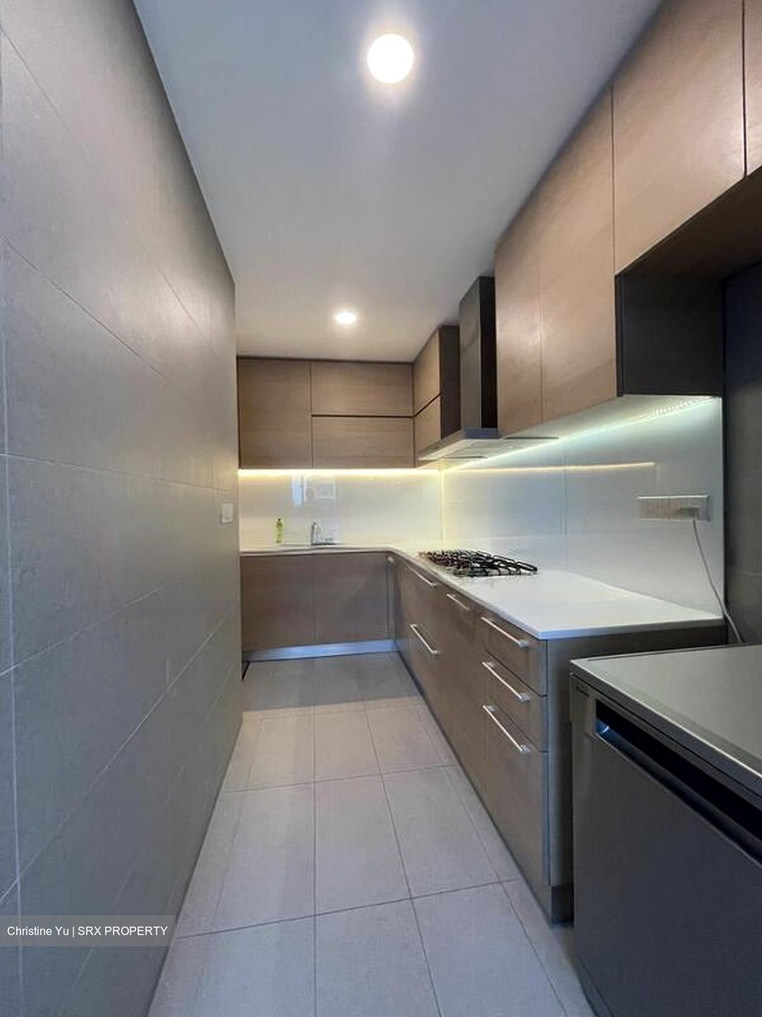 Martina Mansions (D10), Apartment #457035961